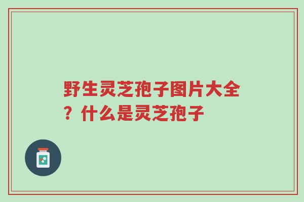 野生灵芝孢子图片大全?什么是灵芝孢子-第1张图片-超越 野生灵芝孢子图片大全?什么是灵芝孢子-第1张图片-超越