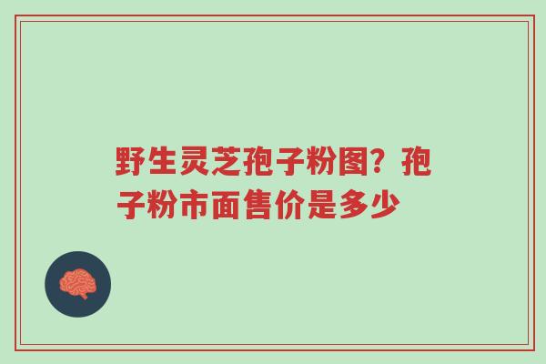 野生灵芝孢子粉图？孢子粉市面售价是多少-第1张图片-超越