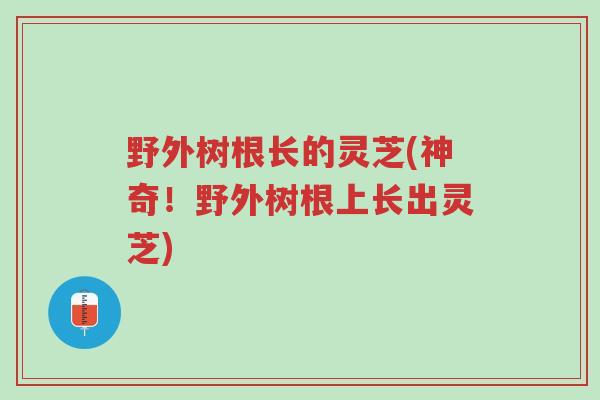 野外树根长的灵芝(神奇!野外树根上长出灵芝)-第1张图片-超越 野外树根长的灵芝(神奇!野外树根上长出灵芝)-第1张图片-超越