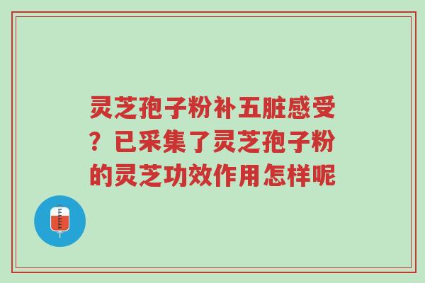 灵芝孢子粉补五脏感受?已采集了灵芝孢子粉的灵芝功效作用怎样呢-第1张图片-超越 灵芝孢子粉补五脏感受?已采集了灵芝孢子粉的灵芝功效作用怎样呢-第1张图片-超越