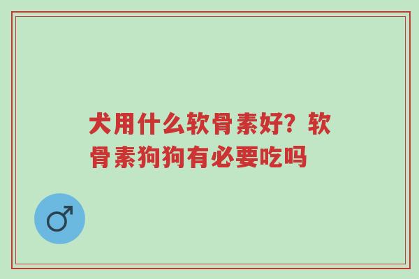 犬用什么软骨素好?软骨素狗狗有必要吃吗-第1张图片-超越 犬用什么软骨素好?软骨素狗狗有必要吃吗-第1张图片-超越