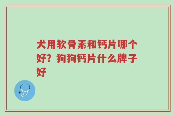 犬用软骨素和钙片哪个好?狗狗钙片什么牌子好-第1张图片-超越 犬用软骨素和钙片哪个好?狗狗钙片什么牌子好-第1张图片-超越