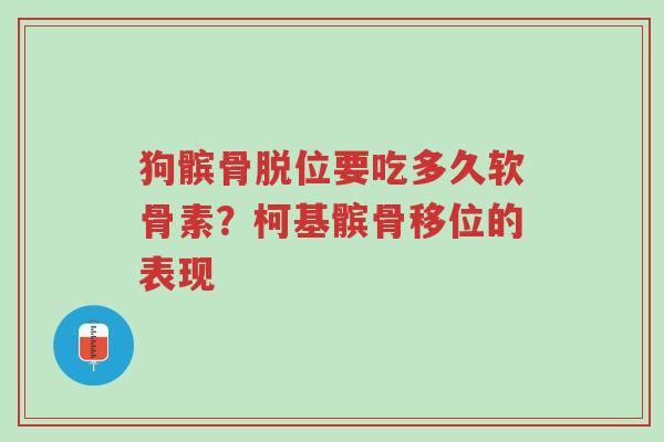 狗髌骨脱位要吃多久软骨素?柯基髌骨移位的表现-第1张图片-超越 狗髌骨脱位要吃多久软骨素?柯基髌骨移位的表现-第1张图片-超越