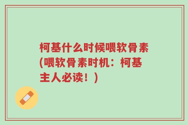 柯基什么时候喂软骨素(喂软骨素时机:柯基主人必读!)-第1张图片-超越 柯基什么时候喂软骨素(喂软骨素时机:柯基主人必读!)-第1张图片-超越