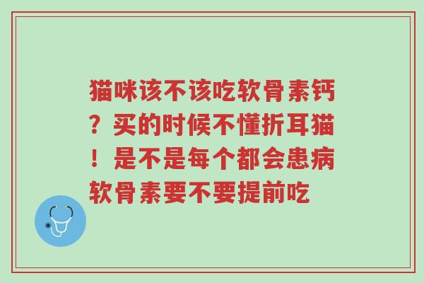 猫咪该不该吃软骨素钙?买的时候不懂折耳猫!是不是每个都会患病软骨素要不要提前吃-第1张图片-超越 猫咪该不该吃软骨素钙?买的时候不懂折耳猫!是不是每个都会患病软骨素要不要提前吃-第1张图片-超越
