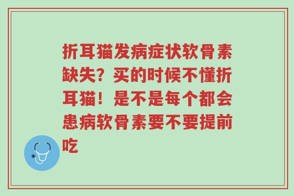 折耳猫发病症状软骨素缺失?买的时候不懂折耳猫!是不是每个都会患病软骨素要不要提前吃-第1张图片-超越 折耳猫发病症状软骨素缺失?买的时候不懂折耳猫!是不是每个都会患病软骨素要不要提前吃-第1张图片-超越
