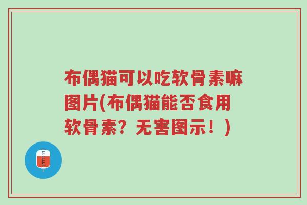 布偶猫可以吃软骨素嘛图片(布偶猫能否食用软骨素?无害图示!)-第1张图片-超越 布偶猫可以吃软骨素嘛图片(布偶猫能否食用软骨素?无害图示!)-第1张图片-超越