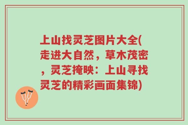 上山找灵芝图片大全(走进大自然,草木茂密,灵芝掩映:上山寻找灵芝的精彩画面集锦)-第1张图片-超越 上山找灵芝图片大全(走进大自然,草木茂密,灵芝掩映:上山寻找灵芝的精彩画面集锦)-第1张图片-超越