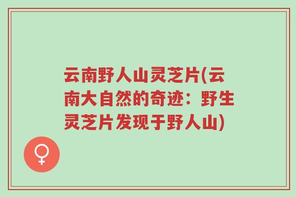 云南野人山灵芝片(云南大自然的奇迹:野生灵芝片发现于野人山)-第1张图片-超越 云南野人山灵芝片(云南大自然的奇迹:野生灵芝片发现于野人山)-第1张图片-超越