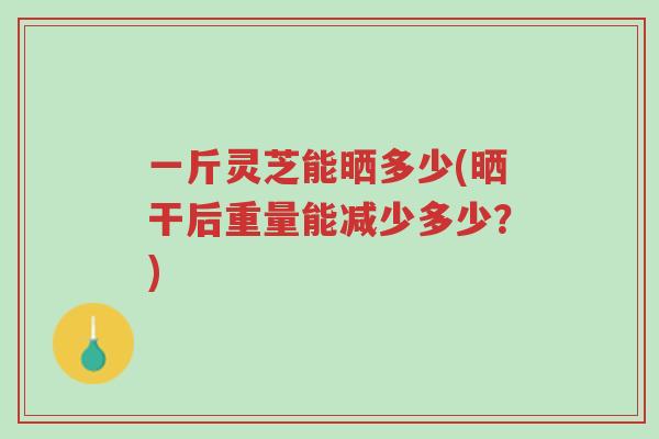 一斤灵芝能晒多少(晒干后重量能减少多少？)-第1张图片-超越