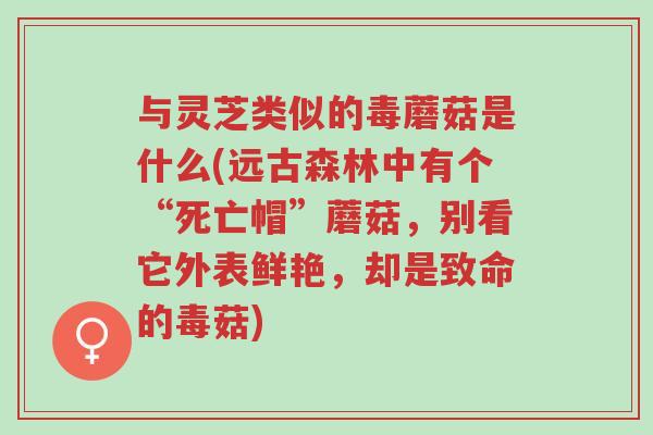 与灵芝类似的毒蘑菇是什么(远古森林中有个“死亡帽”蘑菇,别看它外表鲜艳,却是致命的毒菇)-第1张图片-超越 与灵芝类似的毒蘑菇是什么(远古森林中有个“死亡帽”蘑菇,别看它外表鲜艳,却是致命的毒菇)-第1张图片-超越
