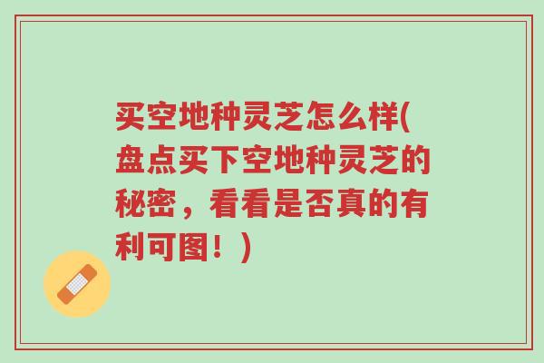买空地种灵芝怎么样(盘点买下空地种灵芝的秘密,看看是否真的有利可图!)-第1张图片-超越 买空地种灵芝怎么样(盘点买下空地种灵芝的秘密,看看是否真的有利可图!)-第1张图片-超越