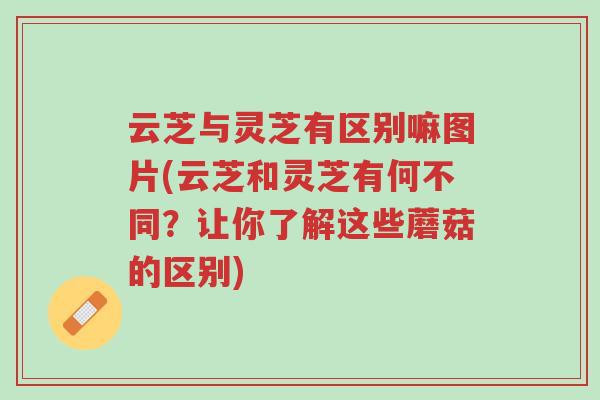 云芝与灵芝有区别嘛图片(云芝和灵芝有何不同?让你了解这些蘑菇的区别)-第1张图片-超越 云芝与灵芝有区别嘛图片(云芝和灵芝有何不同?让你了解这些蘑菇的区别)-第1张图片-超越