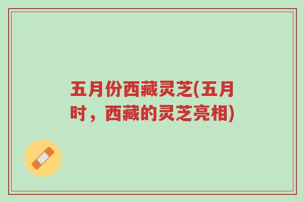 五月份西藏灵芝(五月时,西藏的灵芝亮相)-第1张图片-超越 五月份西藏灵芝(五月时,西藏的灵芝亮相)-第1张图片-超越