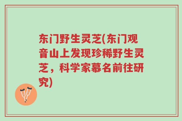 东门野生灵芝(东门观音山上发现珍稀野生灵芝,科学家慕名前往研究)-第1张图片-超越 东门野生灵芝(东门观音山上发现珍稀野生灵芝,科学家慕名前往研究)-第1张图片-超越