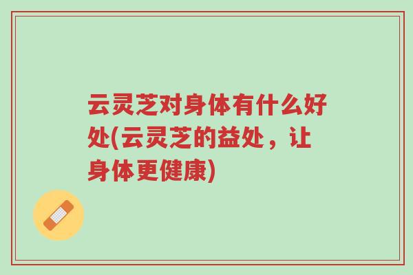 云灵芝对身体有什么好处(云灵芝的益处,让身体更健康)-第1张图片-超越 云灵芝对身体有什么好处(云灵芝的益处,让身体更健康)-第1张图片-超越