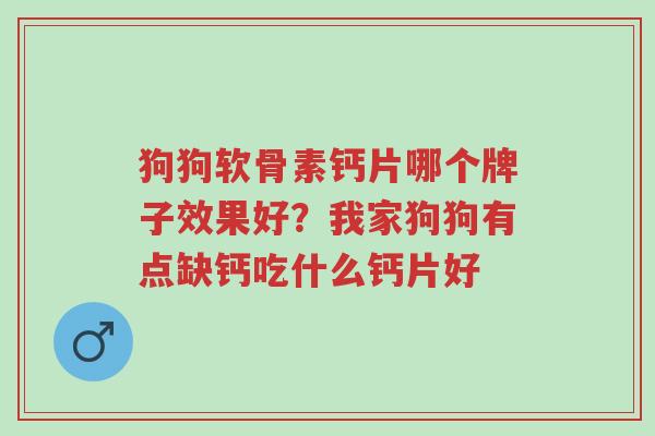 狗狗软骨素钙片哪个牌子效果好?我家狗狗有点缺钙吃什么钙片好-第1张图片-超越 狗狗软骨素钙片哪个牌子效果好?我家狗狗有点缺钙吃什么钙片好-第1张图片-超越