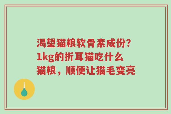 渴望猫粮软骨素成份?1kg的折耳猫吃什么猫粮,顺便让猫毛变亮-第1张图片-超越 渴望猫粮软骨素成份?1kg的折耳猫吃什么猫粮,顺便让猫毛变亮-第1张图片-超越