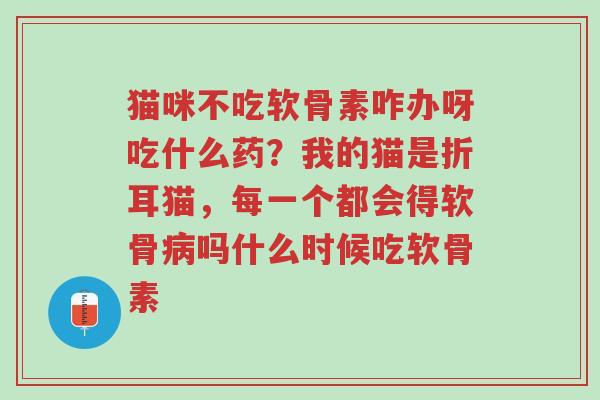猫咪不吃软骨素咋办呀吃什么药?我的猫是折耳猫,每一个都会得软骨病吗什么时候吃软骨素-第1张图片-超越 猫咪不吃软骨素咋办呀吃什么药?我的猫是折耳猫,每一个都会得软骨病吗什么时候吃软骨素-第1张图片-超越
