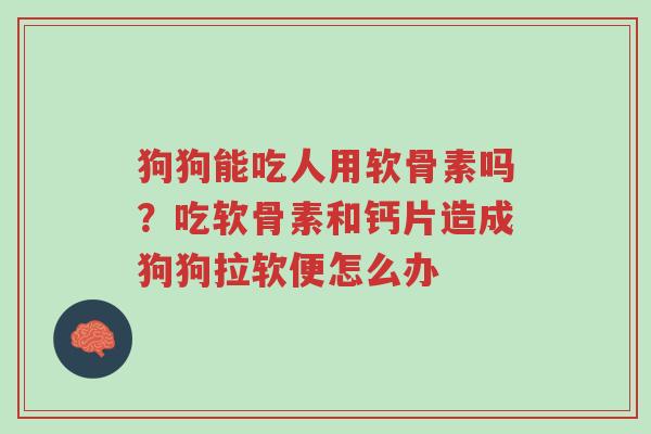 狗狗能吃人用软骨素吗?吃软骨素和钙片造成狗狗拉软便怎么办-第1张图片-超越 狗狗能吃人用软骨素吗?吃软骨素和钙片造成狗狗拉软便怎么办-第1张图片-超越