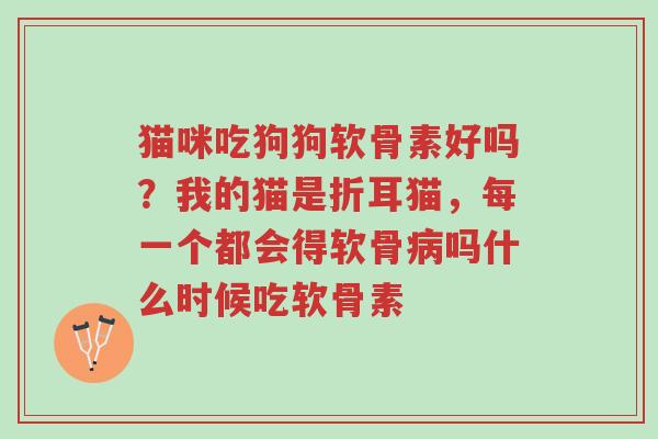 猫咪吃狗狗软骨素好吗?我的猫是折耳猫,每一个都会得软骨病吗什么时候吃软骨素-第1张图片-超越 猫咪吃狗狗软骨素好吗?我的猫是折耳猫,每一个都会得软骨病吗什么时候吃软骨素-第1张图片-超越