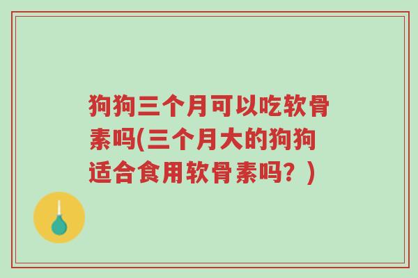 狗狗三个月可以吃软骨素吗(三个月大的狗狗适合食用软骨素吗?)-第1张图片-超越 狗狗三个月可以吃软骨素吗(三个月大的狗狗适合食用软骨素吗?)-第1张图片-超越