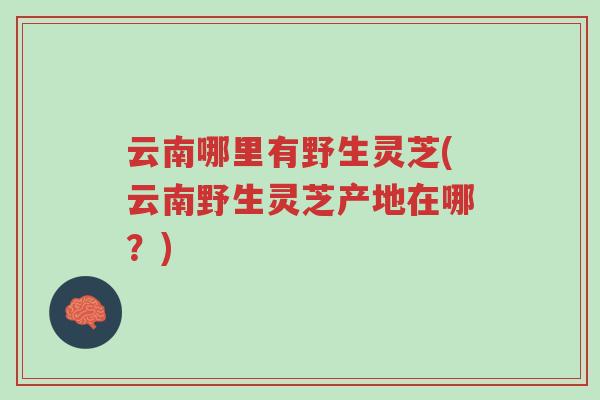 云南哪里有野生灵芝(云南野生灵芝产地在哪?)-第1张图片-超越 云南哪里有野生灵芝(云南野生灵芝产地在哪?)-第1张图片-超越