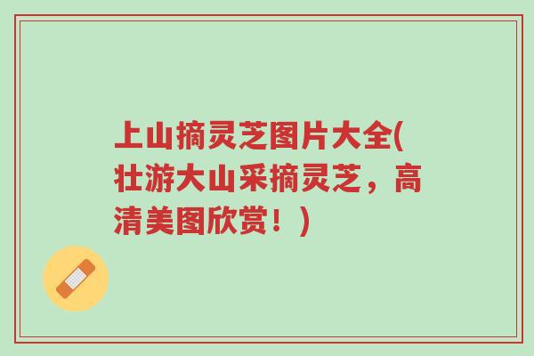 上山摘灵芝图片大全(壮游大山采摘灵芝，高清美图欣赏！)-第1张图片-超越