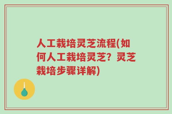 人工栽培灵芝流程(如何人工栽培灵芝?灵芝栽培步骤详解)-第1张图片-超越 人工栽培灵芝流程(如何人工栽培灵芝?灵芝栽培步骤详解)-第1张图片-超越