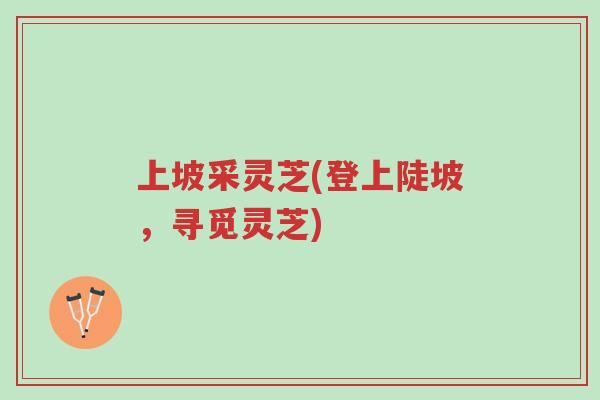 上坡采灵芝(登上陡坡,寻觅灵芝)-第1张图片-超越 上坡采灵芝(登上陡坡,寻觅灵芝)-第1张图片-超越