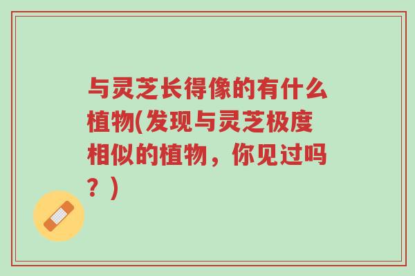 与灵芝长得像的有什么植物(发现与灵芝极度相似的植物,你见过吗?)-第1张图片-超越 与灵芝长得像的有什么植物(发现与灵芝极度相似的植物,你见过吗?)-第1张图片-超越