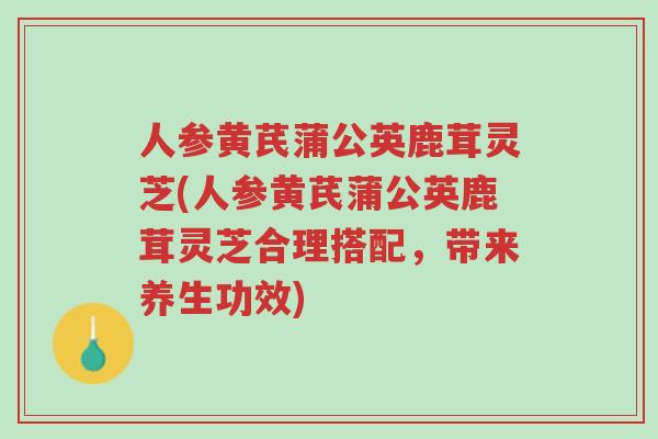 人参黄芪蒲公英鹿茸灵芝(人参黄芪蒲公英鹿茸灵芝合理搭配，带来养生功效)-第1张图片-超越