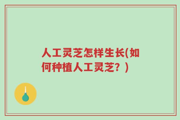 人工灵芝怎样生长(如何种植人工灵芝?)-第1张图片-超越 人工灵芝怎样生长(如何种植人工灵芝?)-第1张图片-超越