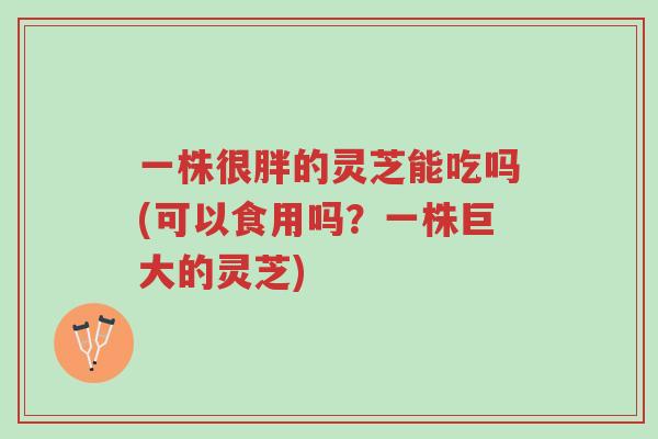 一株很胖的灵芝能吃吗(可以食用吗?一株巨大的灵芝)-第1张图片-超越 一株很胖的灵芝能吃吗(可以食用吗?一株巨大的灵芝)-第1张图片-超越