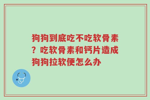 狗狗到底吃不吃软骨素?吃软骨素和钙片造成狗狗拉软便怎么办-第1张图片-超越 狗狗到底吃不吃软骨素?吃软骨素和钙片造成狗狗拉软便怎么办-第1张图片-超越