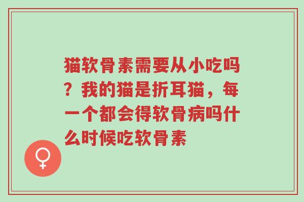 猫软骨素需要从小吃吗?我的猫是折耳猫,每一个都会得软骨病吗什么时候吃软骨素-第1张图片-超越 猫软骨素需要从小吃吗?我的猫是折耳猫,每一个都会得软骨病吗什么时候吃软骨素-第1张图片-超越