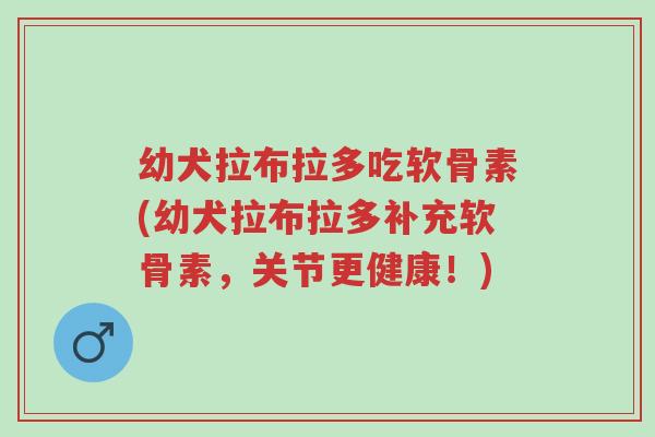 幼犬拉布拉多吃软骨素(幼犬拉布拉多补充软骨素，关节更健康！)-第1张图片-超越