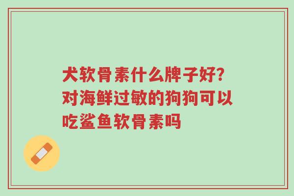 犬软骨素什么牌子好?对海鲜过敏的狗狗可以吃鲨鱼软骨素吗-第1张图片-超越 犬软骨素什么牌子好?对海鲜过敏的狗狗可以吃鲨鱼软骨素吗-第1张图片-超越
