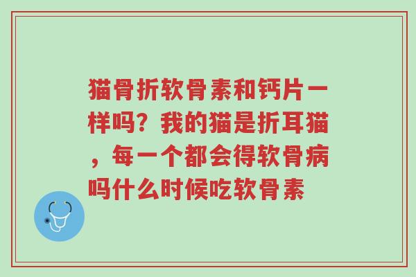 猫骨折软骨素和钙片一样吗?我的猫是折耳猫,每一个都会得软骨病吗什么时候吃软骨素-第1张图片-超越 猫骨折软骨素和钙片一样吗?我的猫是折耳猫,每一个都会得软骨病吗什么时候吃软骨素-第1张图片-超越
