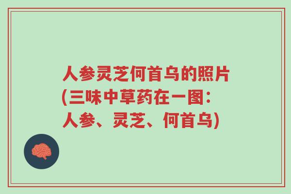人参灵芝何首乌的照片(三味中草药在一图:人参、灵芝、何首乌)-第1张图片-超越 人参灵芝何首乌的照片(三味中草药在一图:人参、灵芝、何首乌)-第1张图片-超越