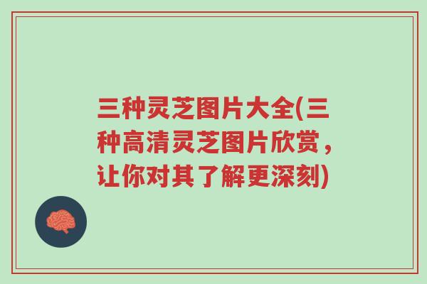 三种灵芝图片大全(三种高清灵芝图片欣赏,让你对其了解更深刻)-第1张图片-超越 三种灵芝图片大全(三种高清灵芝图片欣赏,让你对其了解更深刻)-第1张图片-超越