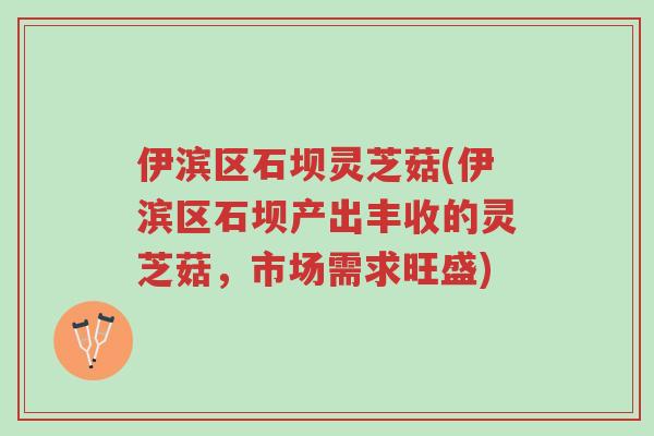 伊滨区石坝灵芝菇(伊滨区石坝产出丰收的灵芝菇，市场需求旺盛)-第1张图片-超越