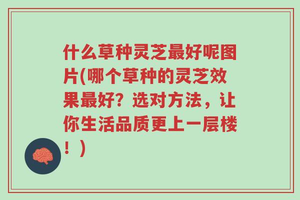 什么草种灵芝最好呢图片(哪个草种的灵芝效果最好?选对方法,让你生活品质更上一层楼!)-第1张图片-超越 什么草种灵芝最好呢图片(哪个草种的灵芝效果最好?选对方法,让你生活品质更上一层楼!)-第1张图片-超越