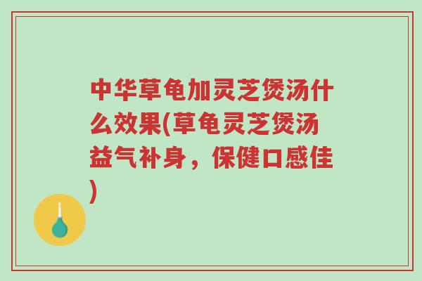 中华草龟加灵芝煲汤什么效果(草龟灵芝煲汤益气补身,保健口感佳)-第1张图片-超越 中华草龟加灵芝煲汤什么效果(草龟灵芝煲汤益气补身,保健口感佳)-第1张图片-超越