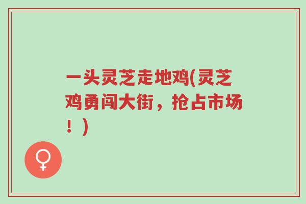 一头灵芝走地鸡(灵芝鸡勇闯大街,抢占市场!)-第1张图片-超越 一头灵芝走地鸡(灵芝鸡勇闯大街,抢占市场!)-第1张图片-超越