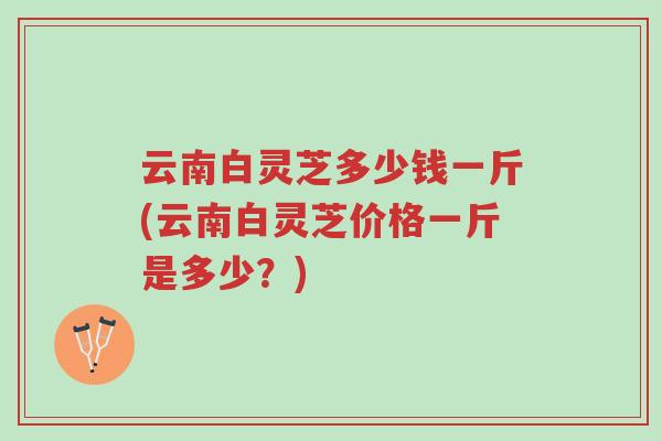 云南白灵芝多少钱一斤(云南白灵芝价格一斤是多少?)-第1张图片-超越 云南白灵芝多少钱一斤(云南白灵芝价格一斤是多少?)-第1张图片-超越