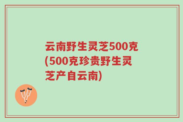 云南野生灵芝500克(500克珍贵野生灵芝产自云南)-第1张图片-超越 云南野生灵芝500克(500克珍贵野生灵芝产自云南)-第1张图片-超越