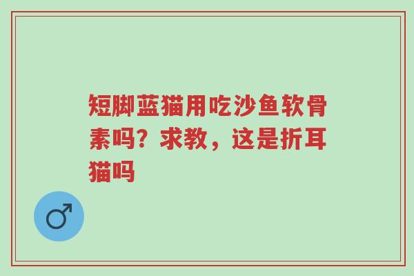 短脚蓝猫用吃沙鱼软骨素吗?求教,这是折耳猫吗-第1张图片-超越 短脚蓝猫用吃沙鱼软骨素吗?求教,这是折耳猫吗-第1张图片-超越
