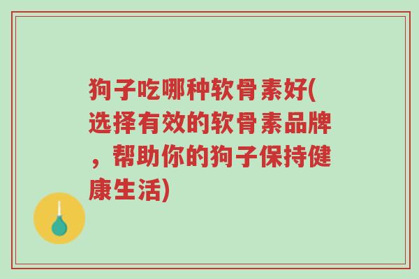 狗子吃哪种软骨素好(选择有效的软骨素品牌,帮助你的狗子保持健康生活)-第1张图片-超越 狗子吃哪种软骨素好(选择有效的软骨素品牌,帮助你的狗子保持健康生活)-第1张图片-超越