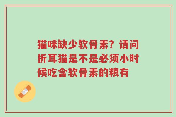 猫咪缺少软骨素?请问折耳猫是不是必须小时候吃含软骨素的粮有-第1张图片-超越 猫咪缺少软骨素?请问折耳猫是不是必须小时候吃含软骨素的粮有-第1张图片-超越
